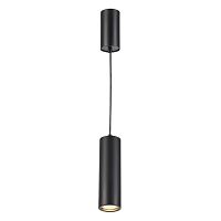 Накладной/Подвесной светильник Odeon Light VINCERE 3830/1C