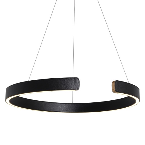 Подвесной светильник Loft It Ring 10025/600 Black фото 6