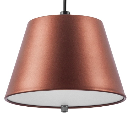 Подвесной светильник Lightstar Cappe 719213 фото 4