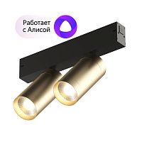 Акцентный светильник SMART SPOT DOUBLE Denkirs DK8012-BG