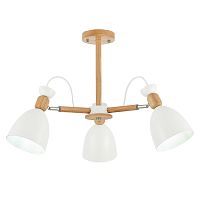 Люстра потолочная Evoluce Balcamo SLE103802-03