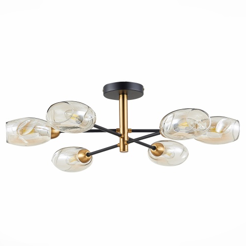 Люстра Evoluce GLOA SLE15550206 фото 6