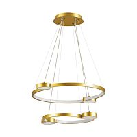 Люстра подвесная Lumion Ledio 5247/79L