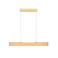 Подвесной светильник Maytoni  Step P010PL-L23G3K