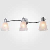 Настенный светильник Eurosvet Organic 20053/3 хром