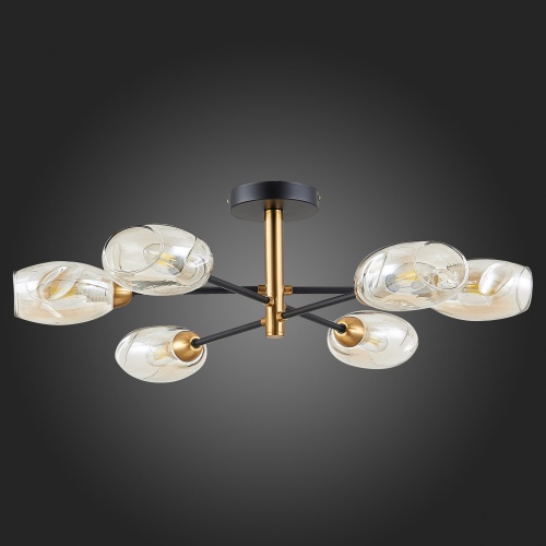 Люстра Evoluce GLOA SLE15550206 фото 10
