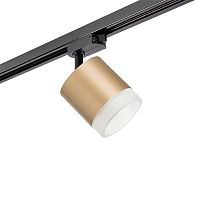 Комплект со светильником Rullo Lightstar R1T349080