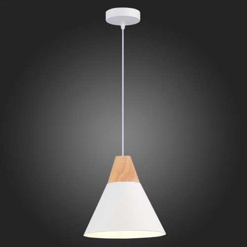 Подвес Evoluce MODICA SLE125103-01 фото 6