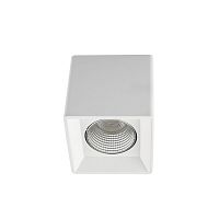 Светильник накладной Denkirs DK3020WC DK3080-WH+CH