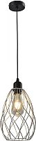 Светильник подвесной TopLight Martha TL1191H-01SL