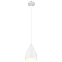 Светильник подвесной Arte Lamp Braccio A2054SP-1WH