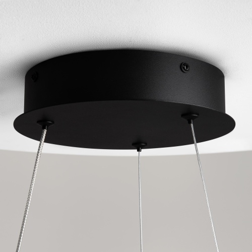 Подвесной светильник Maytoni Curve MOD241PL-L60BK фото 9