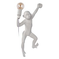 Настенный светильник Loft It (Light for You) Monkey 10314W/A
