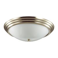 Настенно-потолочный светильник Lumion KAYLA 5262/3C