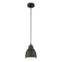 Светильник подвесной Arte Lamp Braccio A2054SP-1BK