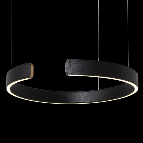 Подвесной светильник Loft It Ring 10025/400 Black фото 5