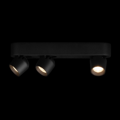 Накладной светильник LOFT IT Quiet 10320/3 Black фото 3