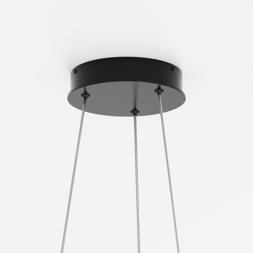 Подвесной светильник Maytoni Rim MOD058PL-L42BK фото 6