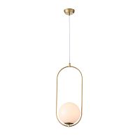 Светильник подвесной ST Luce PENOLO SL1118.203.01