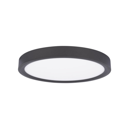 LOFT IT Extraslim Потолочный светильник 10227/24 Black