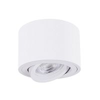 Потолочный светильник ARTE LAMP UNITO A2260PL-1WH