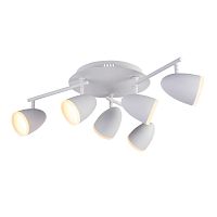 Светильник настенно-потолочный ST Luce PADIVIO SL387.501.06