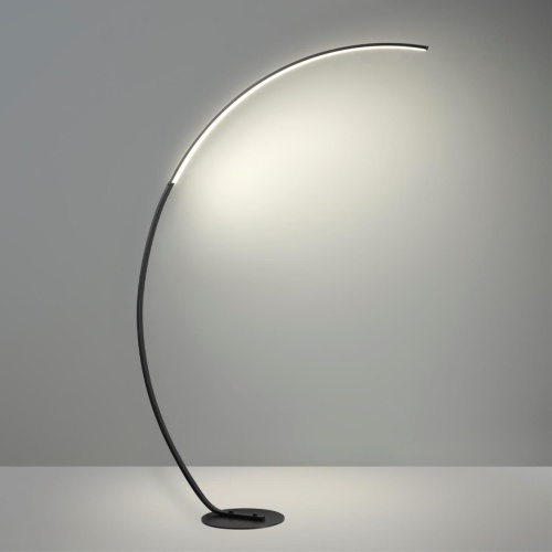 Торшер LUMION LEDIO 5676/21FL фото 3