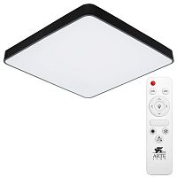 Светильник потолочный Arte Lamp SCENA A2669PL-1BK