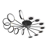 Потолочный светильник Loft It (Light for You) Megan 10164L Black