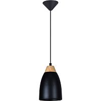 Подвесной светильник Toplight Leah TL0724H-2B