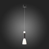 Светильник подвесной ST Luce AGIONI SL1590.403.01