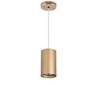 Комплект со светильником  Lightstar Rullo RP4401