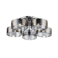 Светильник потолочный Evoluce FORESTA SL483.702.05
