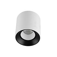 Светильник накладной Denkirs DK3020WW DK3090-WB+WH