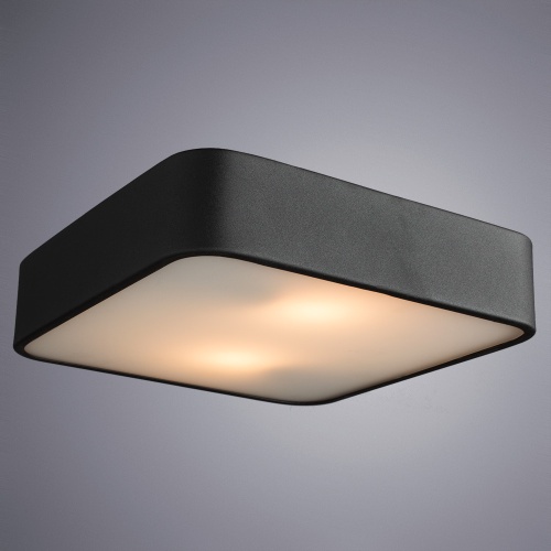 Потолочная люстра Arte Lamp Cosmopolitan A7210PL-2BK фото 3