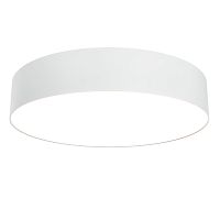 Потолочный светильник Maytoni Zon C032CL-L43W3K