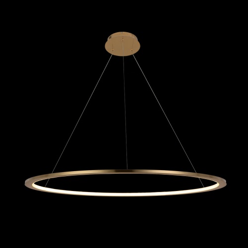 Подвесной светильник Loft It Ring 10014XL фото 5