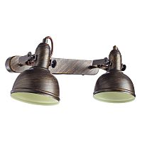 Светильник настенный поворотный Arte Lamp Martin A5213AP-2BR