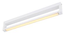 Светильник настенный Globo Lighting Susi 41498W