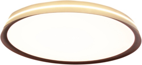 Потолочный светильник Mizi`en Titan MZ31502-430 фото 5