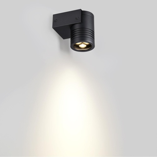 Фасадный светильник Odeon Light STIMA 6648/6WL3 фото 4