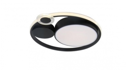 Потолочный светильник Arte Lamp STOCKHOLM A2690PL-1BK фото 2