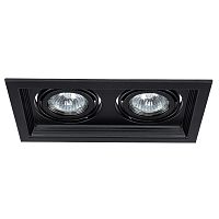 Светильник потолочный Arte Lamp CANIS A6661PL-2BK