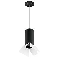 Светильник однофазный Lightstar Rullo RP487436