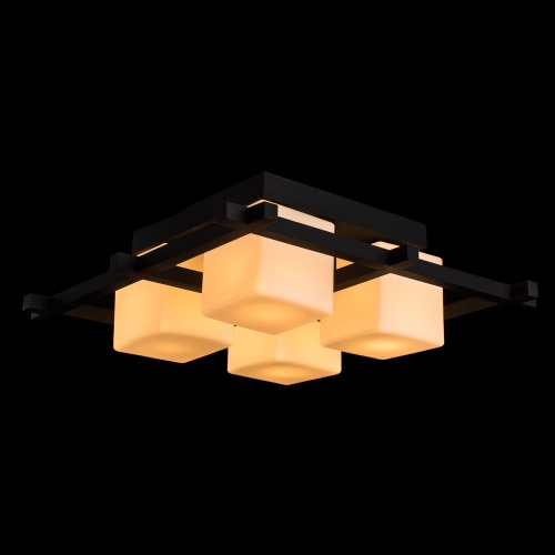 Потолочный светильник Arte Lamp Woods  A8252PL-4CK фото 3