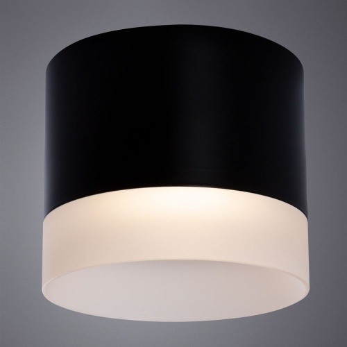 Потолочный светильник Arte Lamp CASTOR A5554PL-1BK фото 3