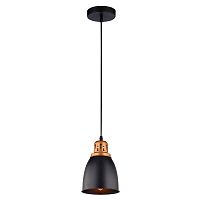Светильник подвесной Arte Lamp Eurica A4248SP-1BK