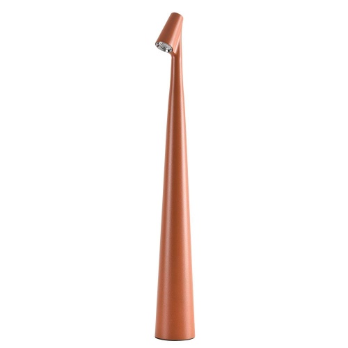 Настольный светильник ARTE LAMP FUSION A3283LT-2BR