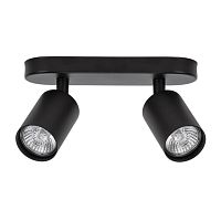 Спот Arte Lamp AQUARIUS A3226PL-2BK