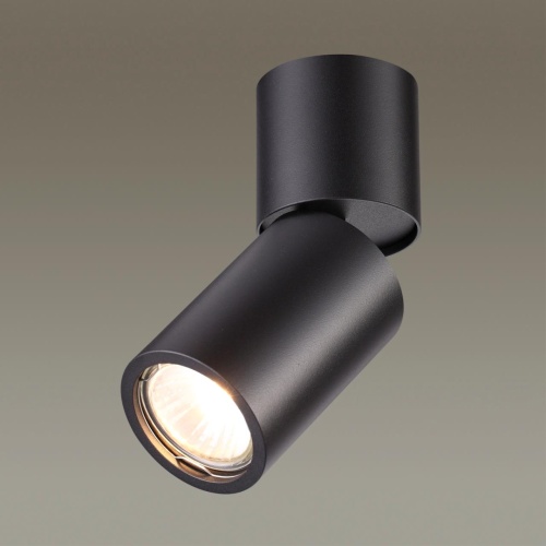 Настенно-потолочный светильник Odeon Light DUETTA 3896/1C фото 4